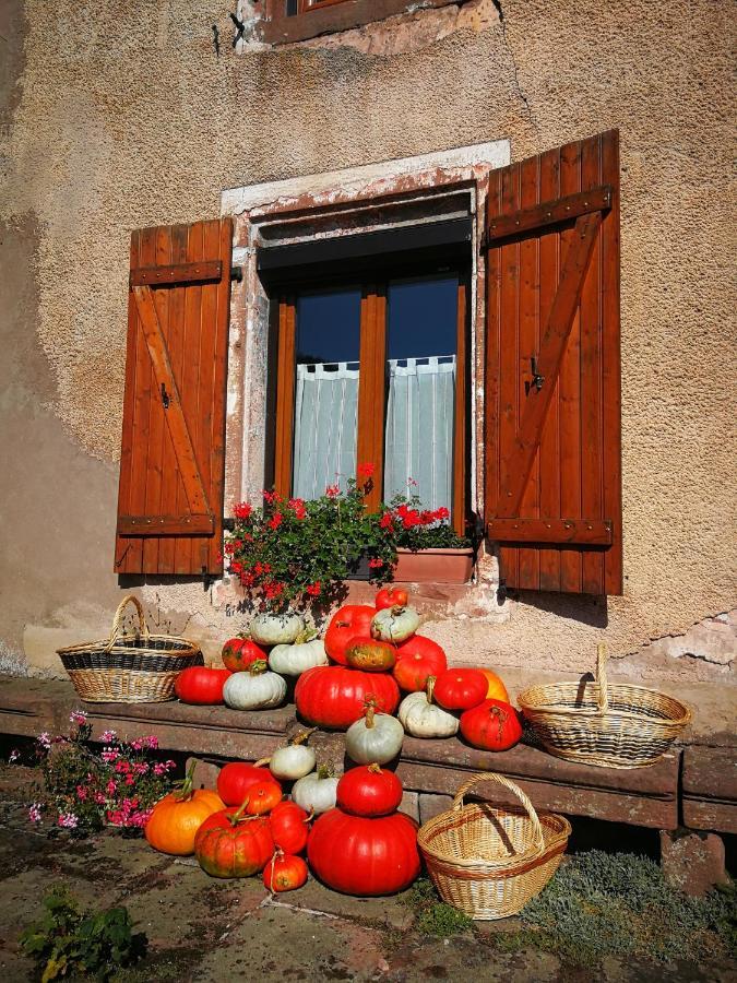 La Maison Du Vannier Raon-les-Leau Buitenkant foto
