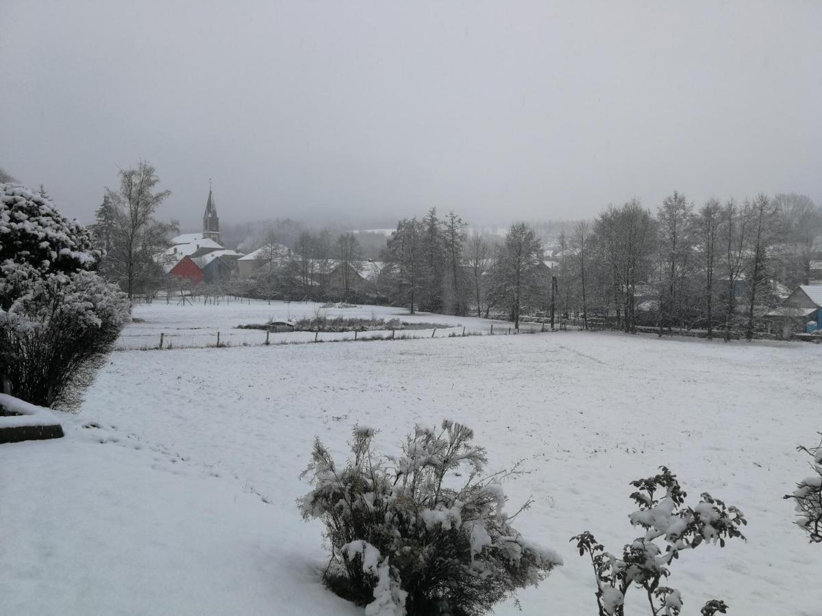 La Maison Du Vannier Raon-les-Leau Buitenkant foto