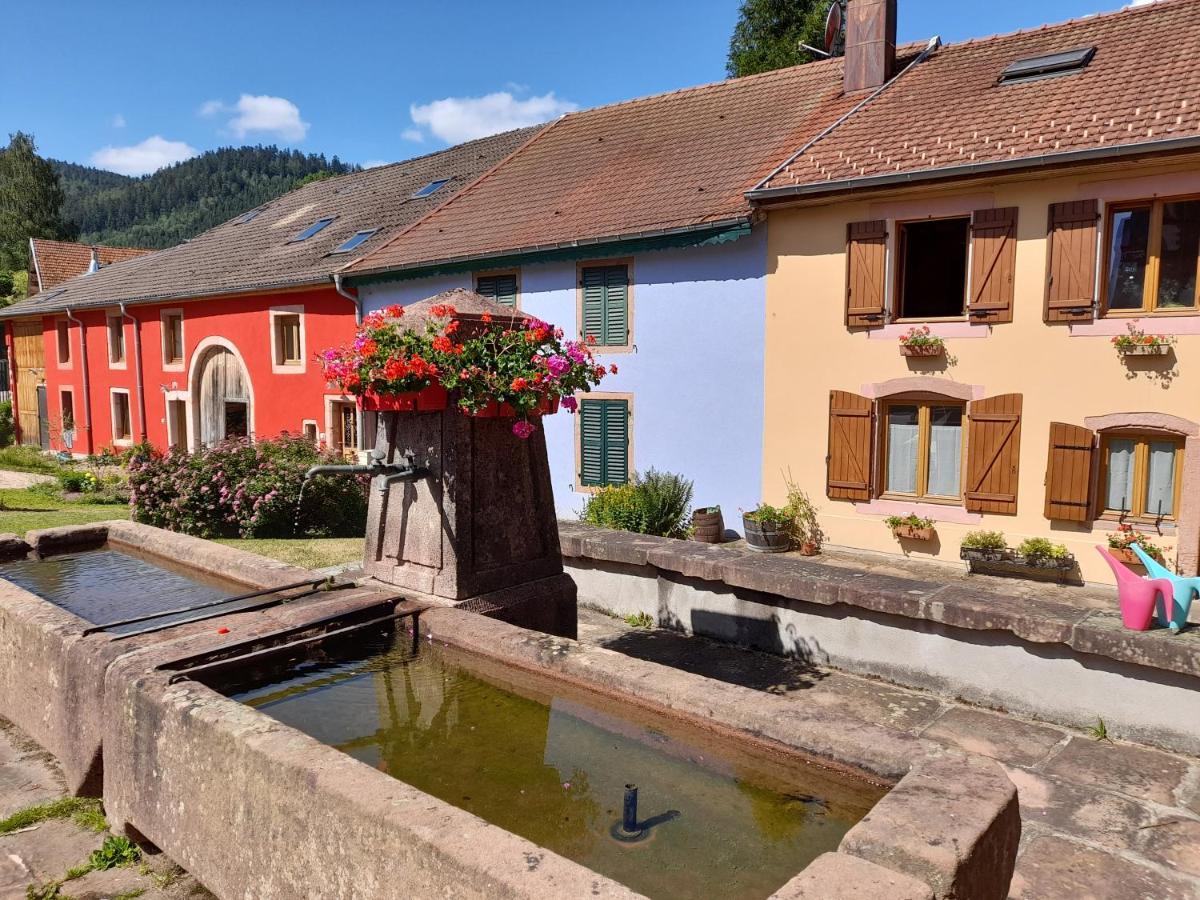 La Maison Du Vannier Raon-les-Leau Buitenkant foto